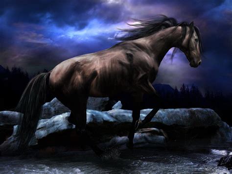 free horse wallpapers and screensavers.